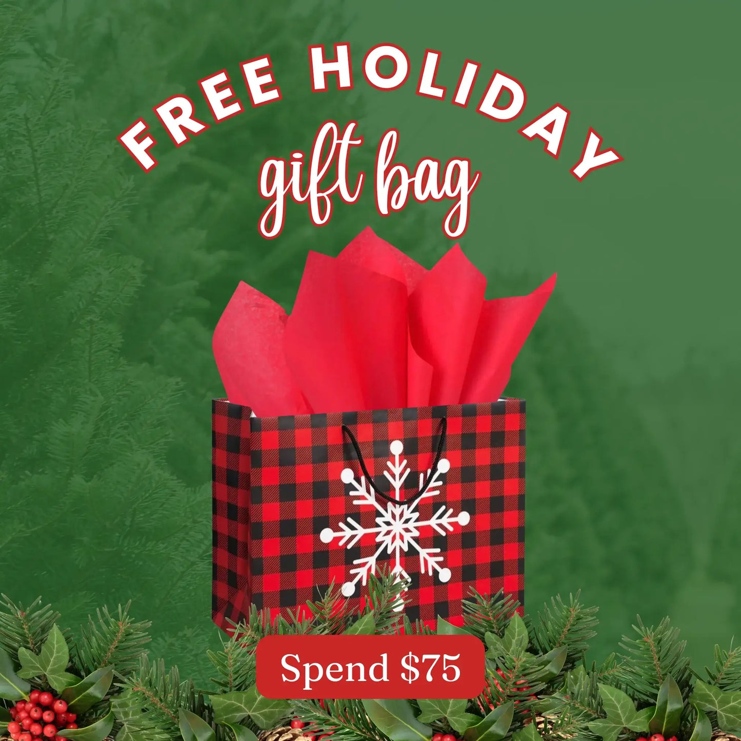 🎁 Free Gift Bag (100% off) - Five Star Napkins