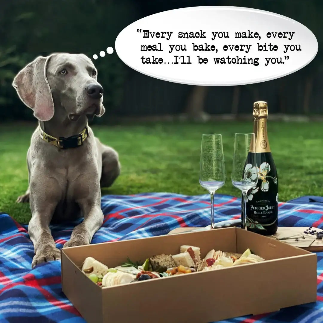 Dog on picnic blanket with food box, champagne, and glasses; speech bubble reads: 'Every snack you make, every meal you bake, every bite you take... I'll be watching you.'