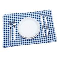 Navy gingham placemat with white plate and silver cutlery, luxury table setting
