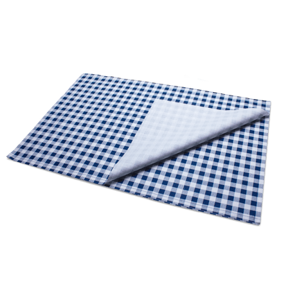 Blue Vichy Placemat Napkins
