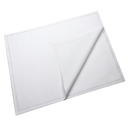 White Placemat Napkins