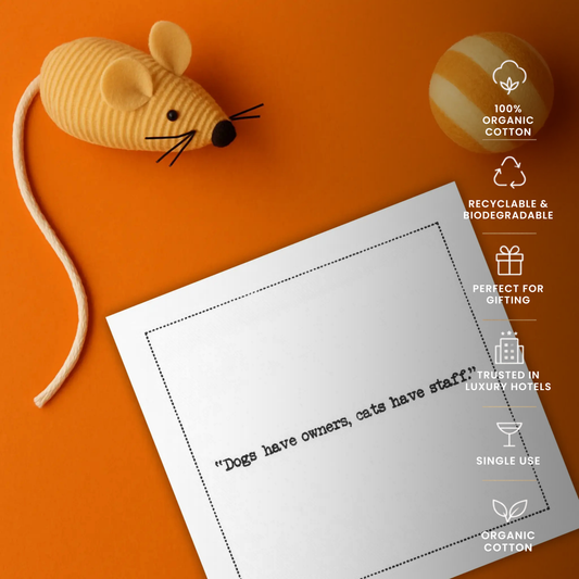 Cat Quote Napkins